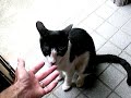 This is Keiko This is Keiko