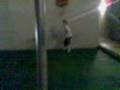 videos de Giro rapido.flv