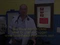 Veterinarian Vet Miami Beach South Beach Sobe: Bay Road Animal Hostital Dogs Cats Birds Pets