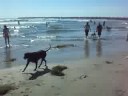Maggie Romping part 2