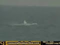 Air race crash