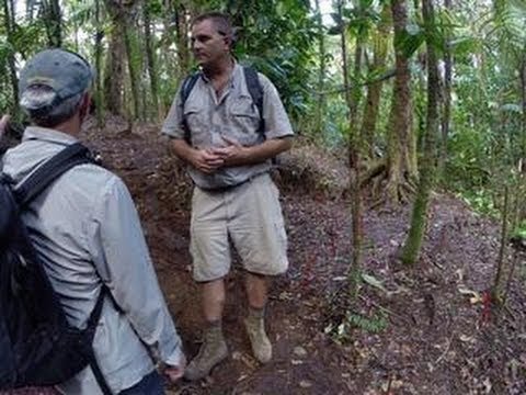 bombs - http://cnet.co/1nkzDly To find unmarked graves thought to hold the bodies of POWs, missionaries, and others executed in the Palauan jungle by the Japanese du...