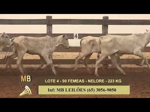 8� LEIL�O PRESENCIAL E VIRTUAL - LUCIANO DUARTE & CONVIDADOS