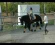 Equinoterapia-Valenc