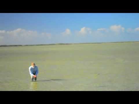 See video