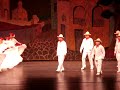 Danza de Veracruz Danza de Veracruz