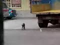 Animal Rescue!!