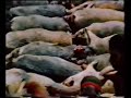 Celebration in Africa