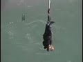 Kawarau Bridge Bungy Kawarau Bridge Bungy