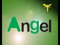 angel project.avi