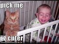 funny cats part 19