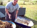 recycled wheelbarrow planter