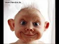 funny pics