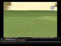 Lorena Ochoa swing analysis