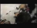 Street Fighter 4 preview