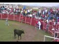 vaquillas san pablo 2008 cueto