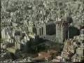 Elche sol y palmeras