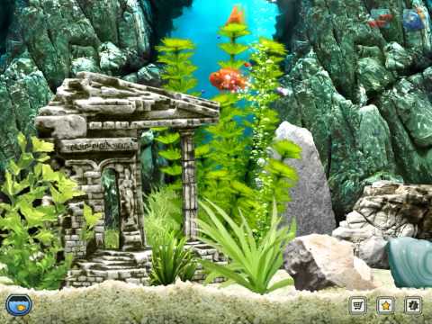 how to get more points on iquarium