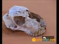 QUADS - AVENTURA (VIDEO 2) - MUCHOVIAJE QUADS - AVENTURA (VIDEO 2) - MUCHOVIAJE