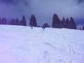colerado powder hounds