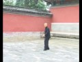 Xing Yi - 5 Xing Quan - Grandmaster Fu