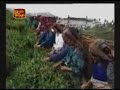 Only eight days more for SAARC Conference