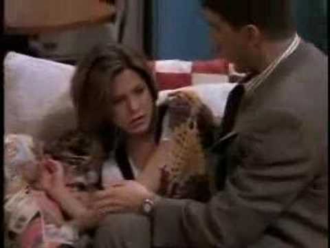 quotes about fake friendships. fake friends quotes and