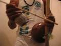 Capoeira Berimbau Berimbao b88