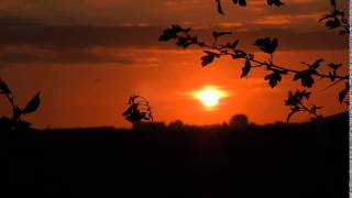 Nikon P900 Sunset time-lapse