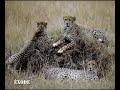 Viaje a Kenia y Tanzania