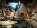 videos de DinosaurMuseumLehi RandomEffects