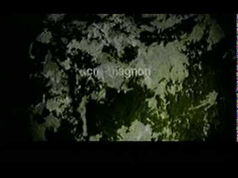 magnon - 2007.07.04 Release. cro-magnon 2nd album