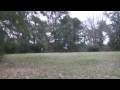 videos de Pine Hill Cross Country Schooling
