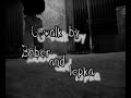 Bober &amp; Lepka