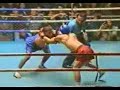 Funny kickboxing