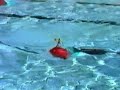 Le Bateau rouge