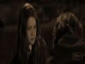 Ron/Hermione Harry/Ginny - Flying Without Wings