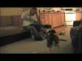 this is my bulldog peenut . she is a beast . she bites up my friend chris bad . love it thanks . please subscribe and leave a comment ..