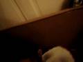 Onyx giving birth take 2 