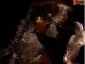 videos de Lets play rollercoaster