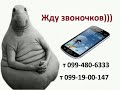 видео 1