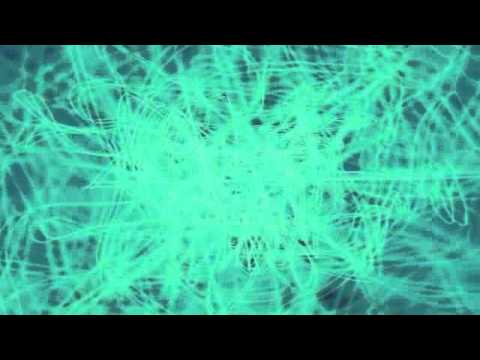 pusher love lyrics pusher love lyrics