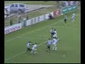 Atacante rápido, excelente domínio de bola e arremate a gol. Vigor físico e determinado em campo. Goleador
