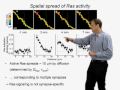 Karel Svoboda (HHMI)