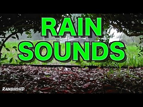 Rain and Thunder Sounds 8 Hours High Quality HD 1080p