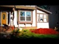 Are you flipping Kiddng Me - Mini Showreel -- My sampler i made of extra stuff when i was bored one day.