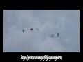 Les pigeons de Thomas