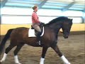 dressage Amiral Danone Morris C dressyr dressyrstigberg h�st