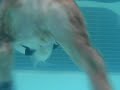 ルーク、楽しいね?