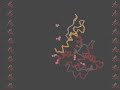 Your Irresistible Smell: Odorant Receptor of Fruitfly